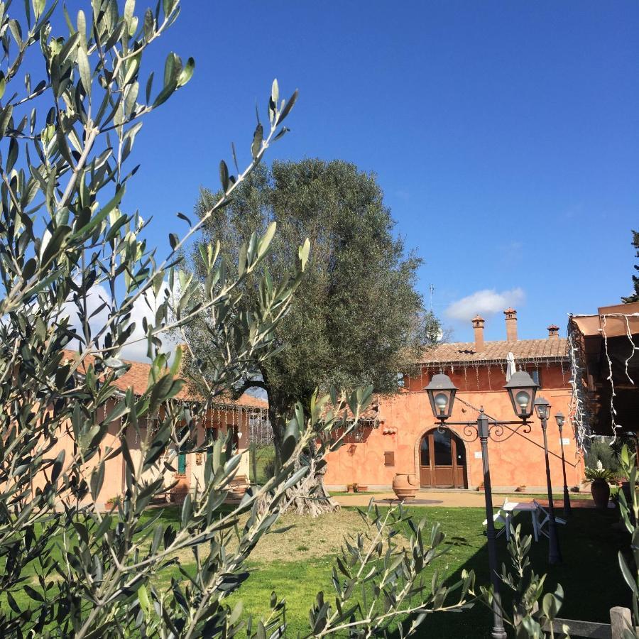 Boccea Poggio Dei Cavalieri Bed & Breakfast エクステリア 写真