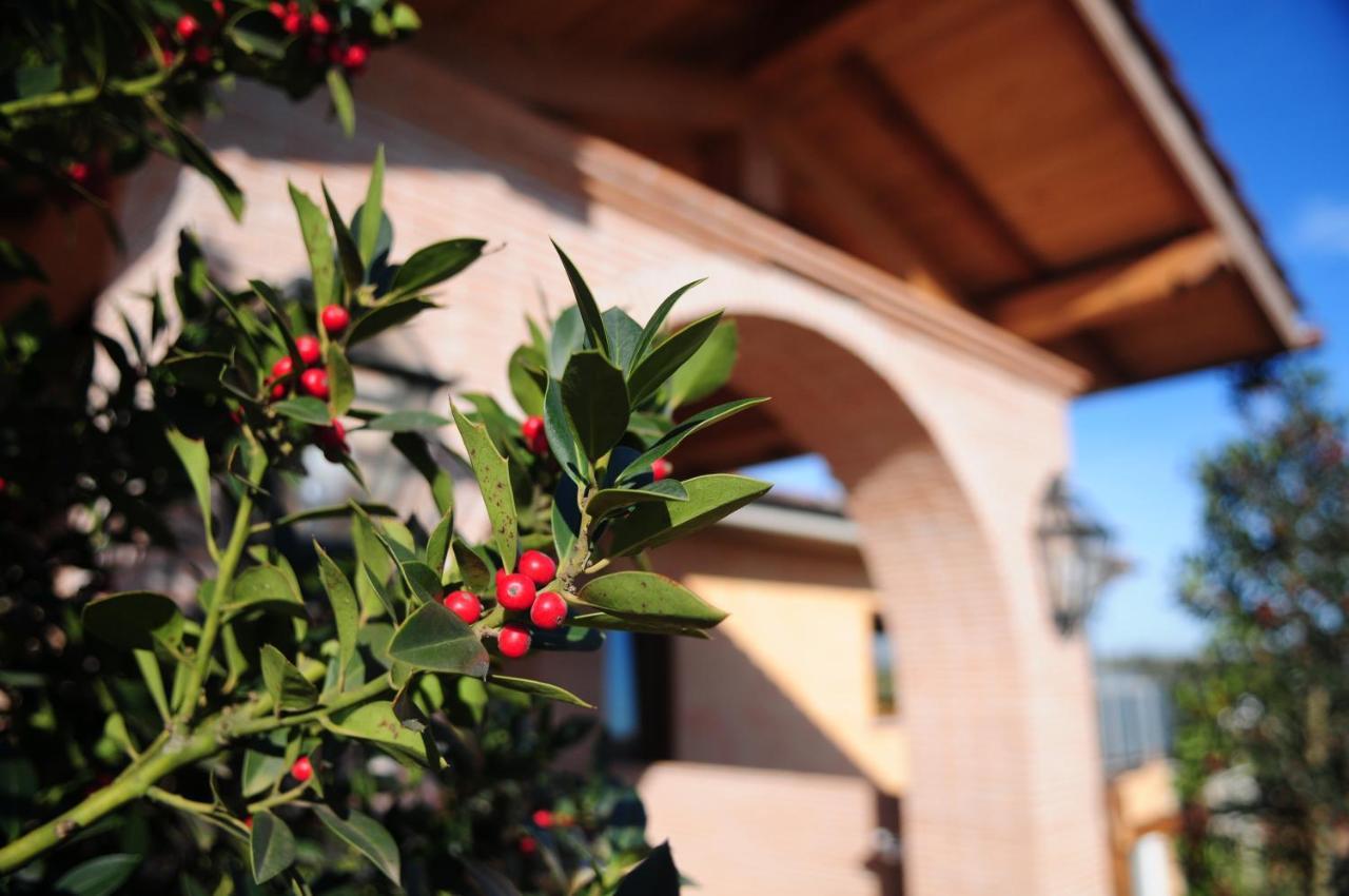 Boccea Poggio Dei Cavalieri Bed & Breakfast エクステリア 写真